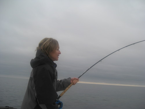 Susan13191's profile picture. Teacher, counsellor, fitness buff, mom of 2