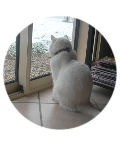 tavitobequer's profile picture. Enseño a crear una rutina de belleza