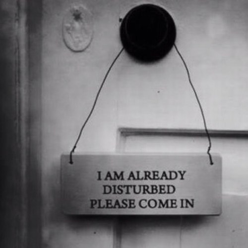 olsen_lynn's profile picture. 