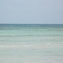 Sasha Pierce - @OUPumpkin1 - Twitter