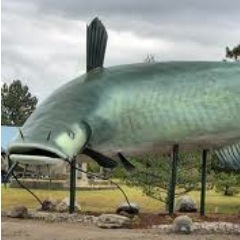 SNSDunnville's profile picture. Shit Nobody Says. Dunnville. Official.

Send us your Tweets at mudcatmuddy@yahoo.ca