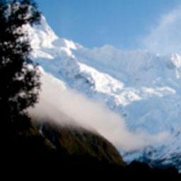 i_m_survival's profile picture. Enjoy Camping, Hiking, Survival Gear, Food Storage, Customized Items and More? Awareness Campaigns and Specials Run Monthly. Follow us today!!!