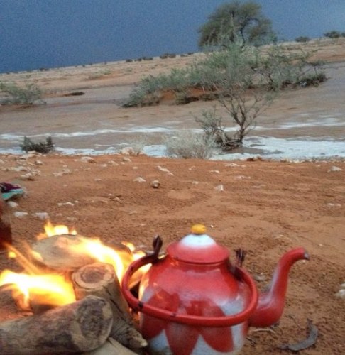 othman_alrosa's profile picture. 