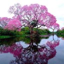 Libby Finch - @FinchLibby - Twitter