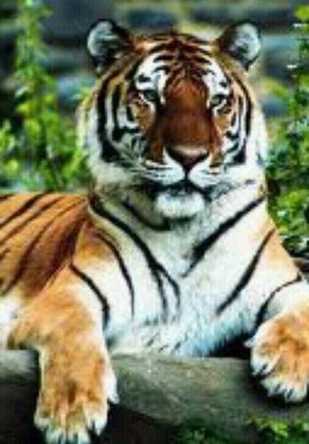 crmyles's profile picture. 