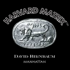 David Birnbaum's New Paradigm Academy will show you realistic answers for your philosophical questions.