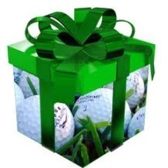 TheAnonGolfer's profile picture. My quest is to surprise my husband by secretly learning to play golf. I've never held a golf club before. I may need help.