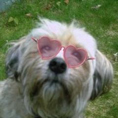 Hi my name is Tom and I am now retired .
