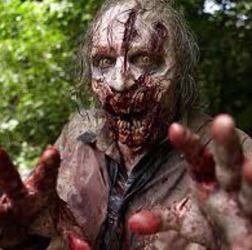 Im the first and smartest walker. I can talk, and move regularly. I carry the zombie disease. my blood is like a poison. Touch it, you get the infection. Rp