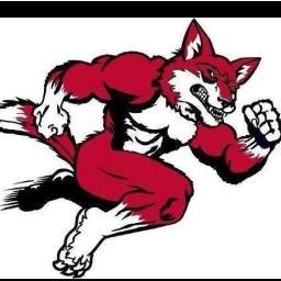 Public High School in Darlington County, SC.

We Are...Red Foxes!