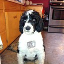 Katie Brewster - @kbrew26point2 - Twitter