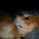 Rochelle Everett - @momma3lll - Twitter