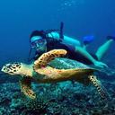 Robert Wang - @RobbWang - Twitter