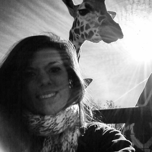 torianne_2013's profile picture. 