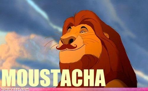 I am a random person who wants a bunch of followers, nothing else :P