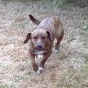 Chris Mandel - @Ewegonow - Twitter