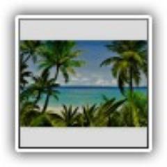 MuralSouthFL's profile picture. 