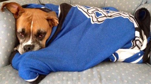 Quik42's profile picture. 