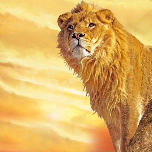 Mohodood's profile picture. I love playing minecraft