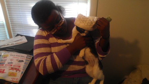 chefmey's profile picture. 