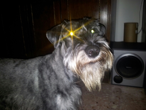 jlg0mez's profile picture. 