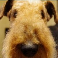 Jny0806 (@jny_noir6) 's Twitter Profile