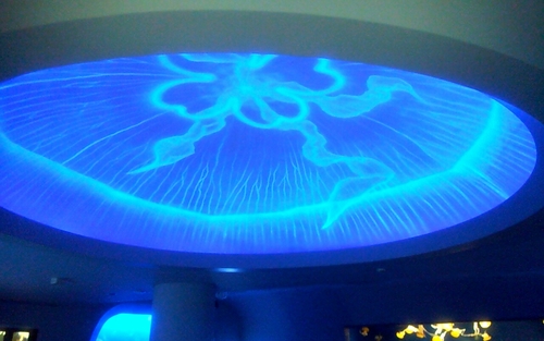 YCondition's profile picture. 気まぐれ屋さんですが、よろしくね(￣▽￣;)