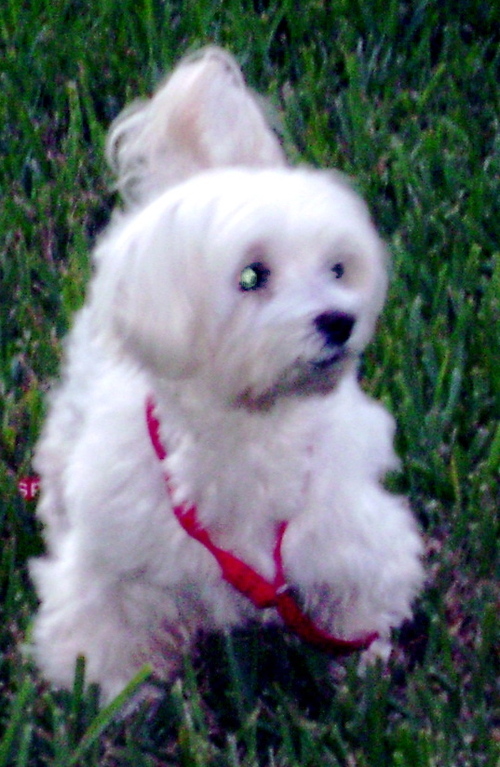 docma's profile picture. 