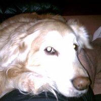 Burrhead (@highwayjoe) Twitter profile photo
