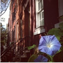 Missy Wade - @prissy_missy - Twitter