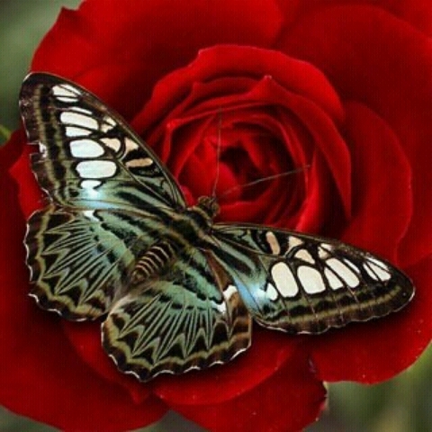 PEJWilliams7's profile picture. 