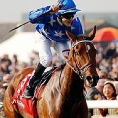Racing. Australia & Europe.