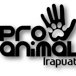Asociación civil de ayuda a animales domésticos y educación a la población. NO SOMOS ALBERGUE.