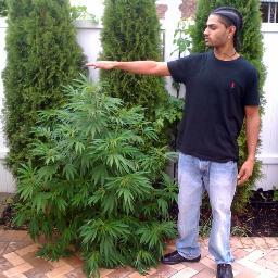 Entrepreneur, High Hopes Ent.
