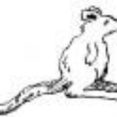 PoToR0's profile picture. 