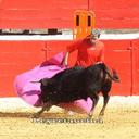 lobo taurino (@13Taurino) Twitter