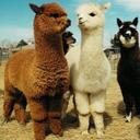 GlenStacy - @GlenStacy - Twitter