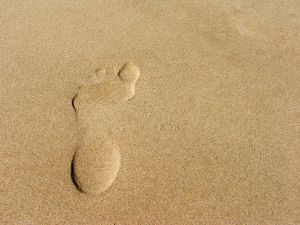 HBill21's profile picture. Think twice before you speak, because your words and influence will plant the seed of either success or failure in the mind of another.
Napoleon Hill