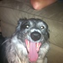 kylie morton - @MortonKylie - Twitter