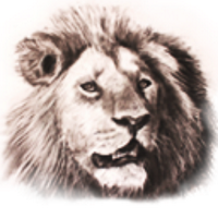 Chalo Africa (@chaloafrica) Twitter profile photo
