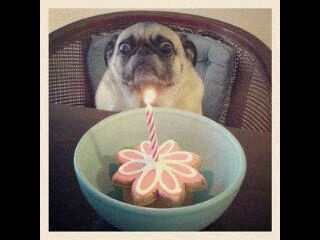 xOmdatHetZoIsxo's profile picture. je klikt op me, je leest mijn bio, volg me dan ook gelijk(l) xd.#Marisa13r #Supertweetsnl en #Checkfollowers bedankt voor de reclame (L)!!!