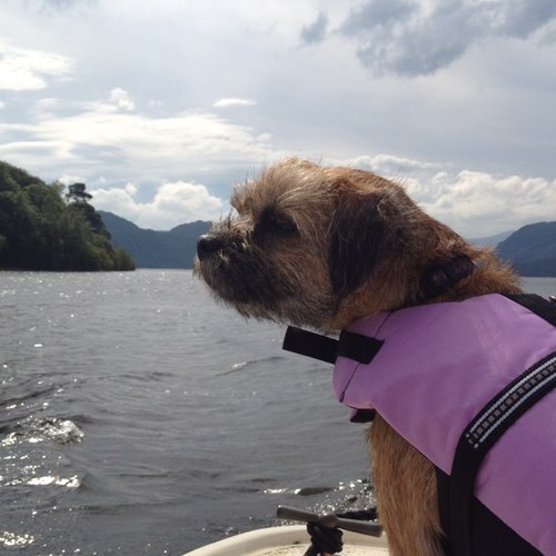 I be Dame Maggie (Anipals hons). I love my brofur Loki, my chooks, fambly nd #BTposse! I organise #EhUpTweetUp. I love to live nd live to love! Bday 14/06/2011