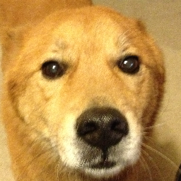 antiballisticm's profile picture. 