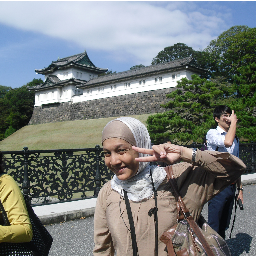An ordinary woman who like Japan and working as Japanese translator :-)