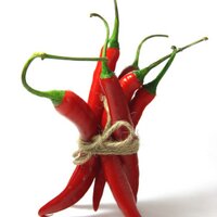 Vegetarisch Fit (@vegetarisch_) Twitter profile photo