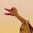 Haagspraak's profile image