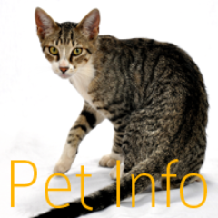 petinfo_'s profile picture. We love pets! We like to give you interesting and funny information about pets!