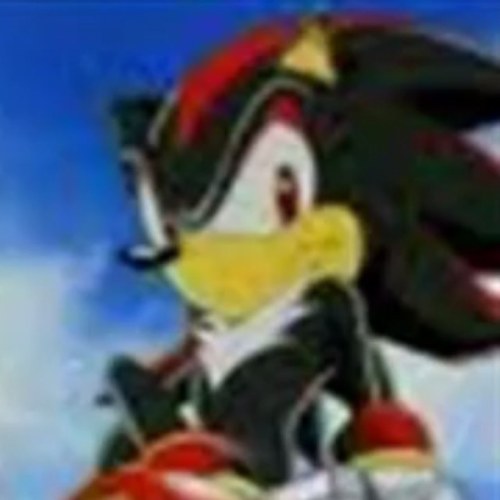 shadow the hedgehog the ultimate lifeform..that's all you need to know...hmph...