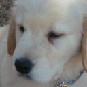 Mackenzie Gallagher - @mackgall566 - Twitter