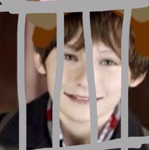 THE JAILED ACC FOR @HenryWithABlw

#RobinHood #AsianSwan #ZombieBear